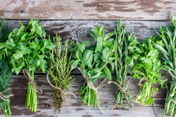 Thyme, rosemary, parsley, coriander, dill, tarragon on a wooden table, top view