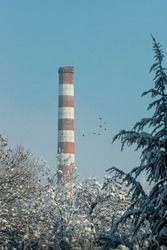 Industrial Old tall Brick Chimney without smoke, on blue sky on a frosty day in Bulgaria.