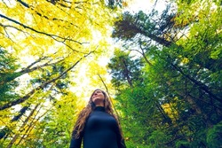 Young woman low angle view standing looking up at trees on hiking trail pine forest woods in Dolly Sods West Virginia autumn fall foliage golden yellow color season leaves