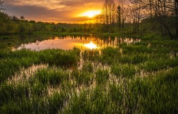 Beautiful sunset over Midwestern lake; setting sun reflecting in calm water; forest in background