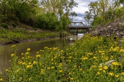 View of Midwestern creek flowing under bridge and into Missouri River; yellow wildflowers on one shore