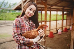 Asian farmer in the chicken farm holding a chicken, healthy lifestyle and organic farming concept