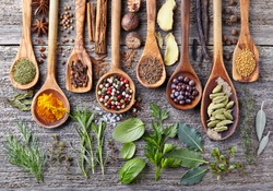 Herbs and spices on a wooden board