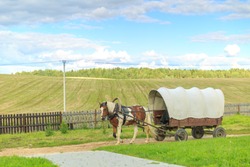 Carriage with a horse on the field over the blue sky