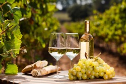 glass of dry White wine ripe grapes and bread on table in vineyard