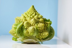 Perfect fresh cauliflower Romanesco with leaf in light blue background