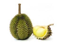 Durian is a very popular fruit durian. and is known as the king of fruits of southeast asia durian on white background