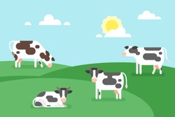 Vector flat style illustration of cows graze in a field. Good sunny day. Nature background.