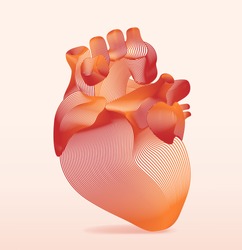 line art of human anatomical heart. Vector illustration.