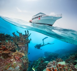 Split photography of safari yacht and woman diver exploring coral reef. Underwater fauna, flora and marine life.