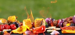 Assorted delicious grilled vegetables placed on grill with fire. Outdoor garden barbecue background.