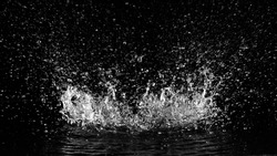 Freeze motion of water splash isolated on black background.