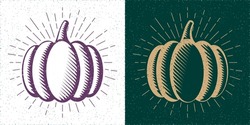 Pumpkin or Squash Straight and Inverted Woodcut Style Illustrations Thanksgining or Turkey Day Greetings Templates Set - Gold and Purple on Turquoise and White Background - Vector Hand Drawn Design