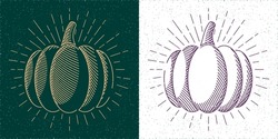Pumpkin Inverted and Straight Digital Engraving Style Illustrations as Thanksgiving or Turkey Day Templates Set - Gold and Purple on Turquoise and White Background - Vector Hand Drawn Design