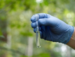 Gloved hands holding a test tube of clear liquid. Natural background - grass, trees. In vitro water, forests reflection. Concept - clean water, water quality, ecology, environment