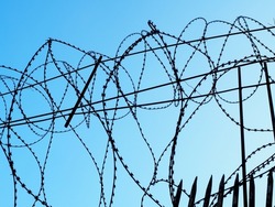 Spiral barbed wire on iron rods against a blue sky background. Barbed wire fencing
