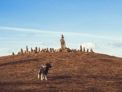 The top of an autumn hill with stone pyramids on the horizon against a blue sky and a mongrel dog walking nearby. Selective focus.
