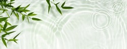 spa background banner with green bamboo leaf on white transparent water wave in sunlight, beautiful concept wallpaper with copy space for travel or cosmetics