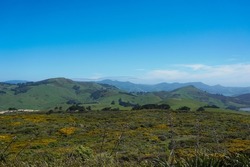 Landscape on the Otago Peninsula