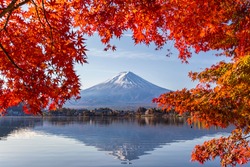 Fuji Mountain in autumn with colorful maple leaves at Lake Kawaguchiko,Yamanashi, Japan.