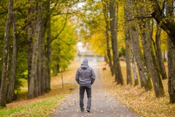 Young man in gray warm clothes slowly walking through alley of trees in yellow autumn day at park. Spending time alone in nature. Peaceful atmosphere. Back view. 
