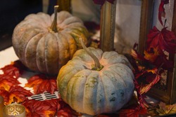 pumpkins on the steps at the door. Decorations for Halloween. Copy space for your text