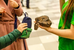 Child hand holding snake boa, Halloween