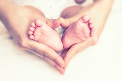 Baby feet in the mother hands