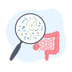 Vector isolated illustration of human microbiota. Probiotics - good beneficial bacteria. Lactobacillus, bifidobacteria, streptococcus, intestine icon. Medical infographics 