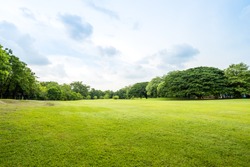 Beautiful park scene in public park with green grass field, green tree plant and a party cloudy blue sky