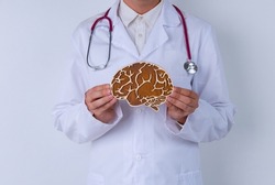 Male doctor with a stethoscope is holding mockup brains. Help and care concept