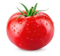 Tomato isolated. Tomato with drops. With clipping path.