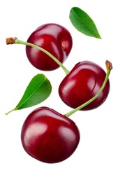 Falling cherries with leaves. Cherries isolate. Cherry on white. Sour cherry.