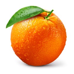 Orange fruit isolate. Orange citrus with drops on white background. Whole wet orange fruit with leaves. Full depth of field.