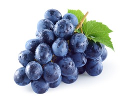 Dark blue grape with leaves isolated on white background. Wet fruit. With clipping path. Full depth of field.