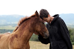 Young boy during the high mounting walking meets a young brown horse and communicates with it, wild nature, people and animals friendship concept, lifestyle summer outdoor