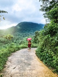 A Monk walking through the jungle. Going back to village after meditating himself.
