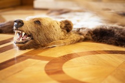 photo of stuffed bear on the floor