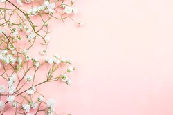 Border of delicate little white flowers on pink background from above. Space for text. Flat lay style.