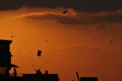 Silhouette of Kite festival at dusk in India. It is celebrated on January 14 each year largely in Gujarat states of India.