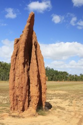 A close up view of a cathedral termite mound
