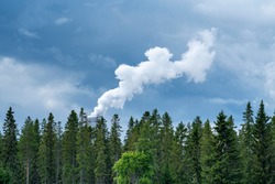 Smoke plume from industry emitting greenhouse gas into the atmosphere on forest trees background and blue cloudy sky.