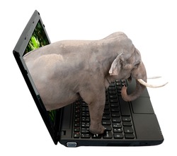 3D Netbook / Notebook With Elephant on the Screen - isolated on White