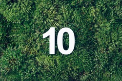 Green grass, digit ten. Birthday greeting card with inscription 10. Anniversary concept. Top view. White numeral on eco moss background. Numerical digit, Celebration event, template, flyer.