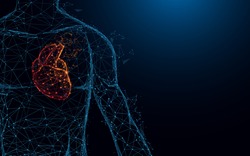 Human heart anatomy form lines and triangles, point connecting network on blue background. Illustration vector