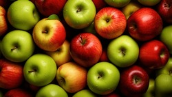 Red and green apples. Background of ripe apples.