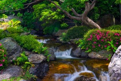 Beautiful japanese garden with small waterfall and blooming rhododendron flowers.