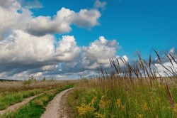 Beautiful countryside dirt road in the field with wildgrass with blue sky and clouds on the background