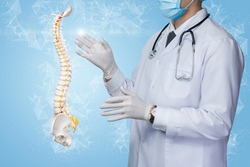 Patient spine research treatment concept. Doctor works with a mock up of the spine on a blue background on the net.