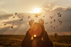 Doves fly into the woman hands against the background of a sunny sunset during prayer.